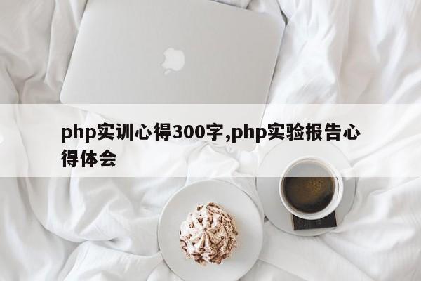 php实训心得300字,php实验报告心得体会